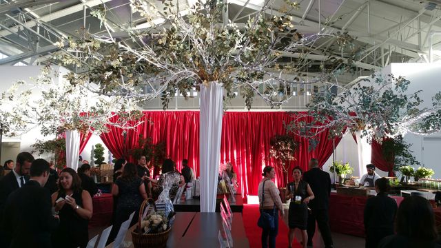 Featured photo from ISES -NCC -Gala