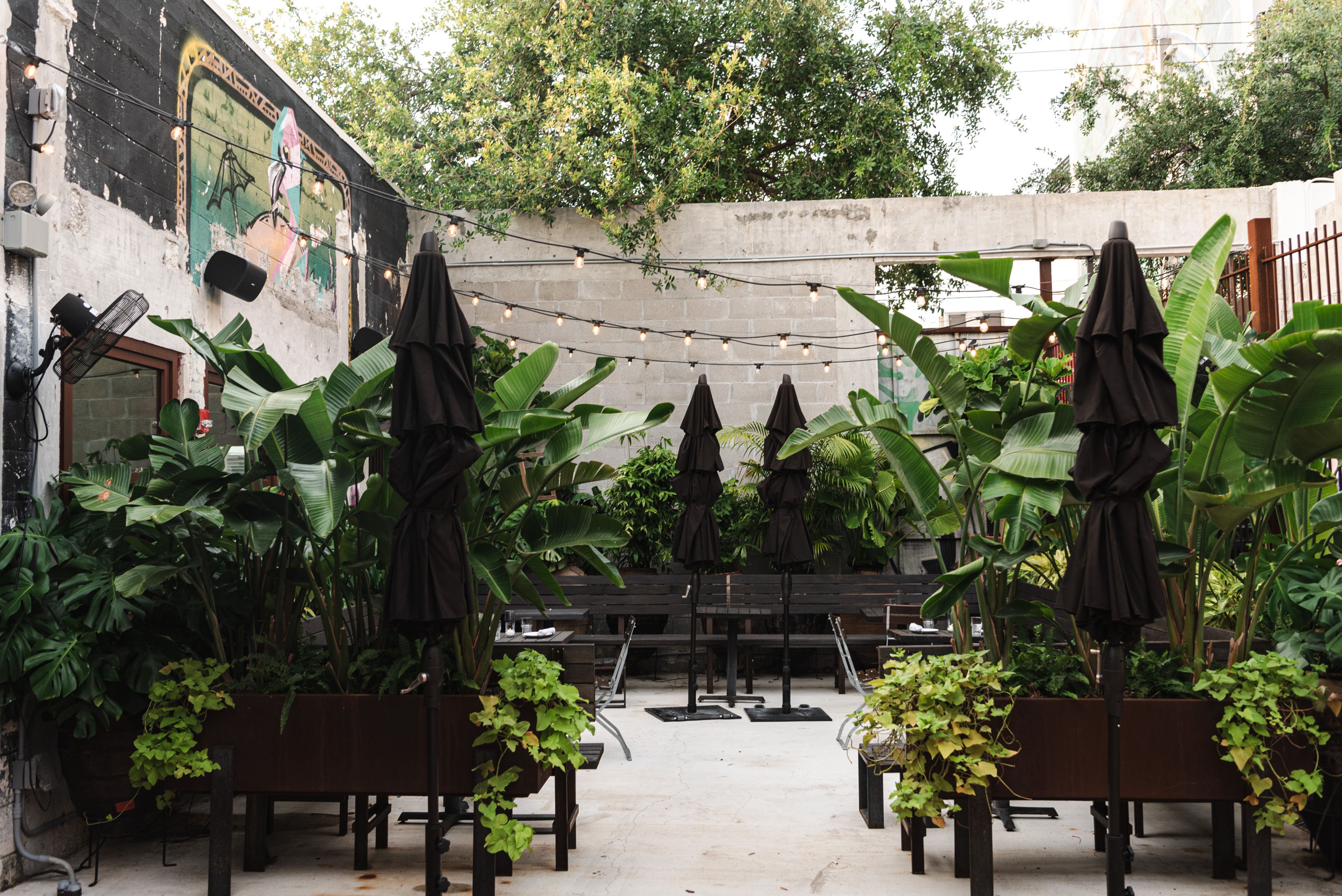 Patio, an event space at Barcelona Wine Bar - Wynwood
