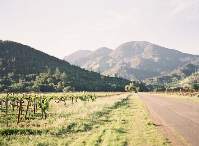 Featured photo from Gorgeous Springtime Wedding in Calistoga, CA