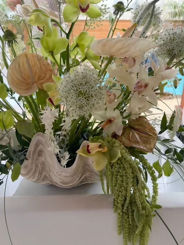 Featured photo from Costal