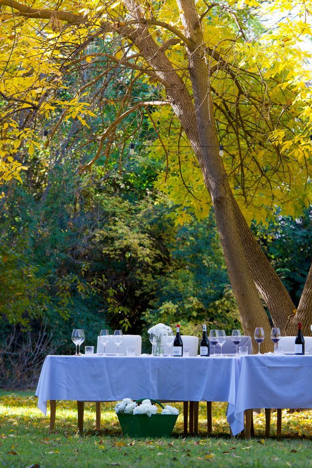 Featured photo from South Garden