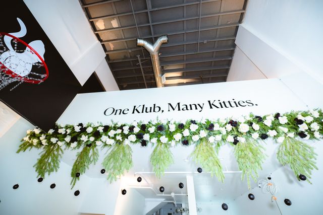 Featured photo from Pretty Kitty Klub Holiday Mixer