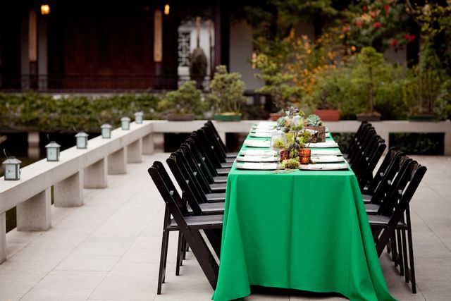 Featured photo from Garden