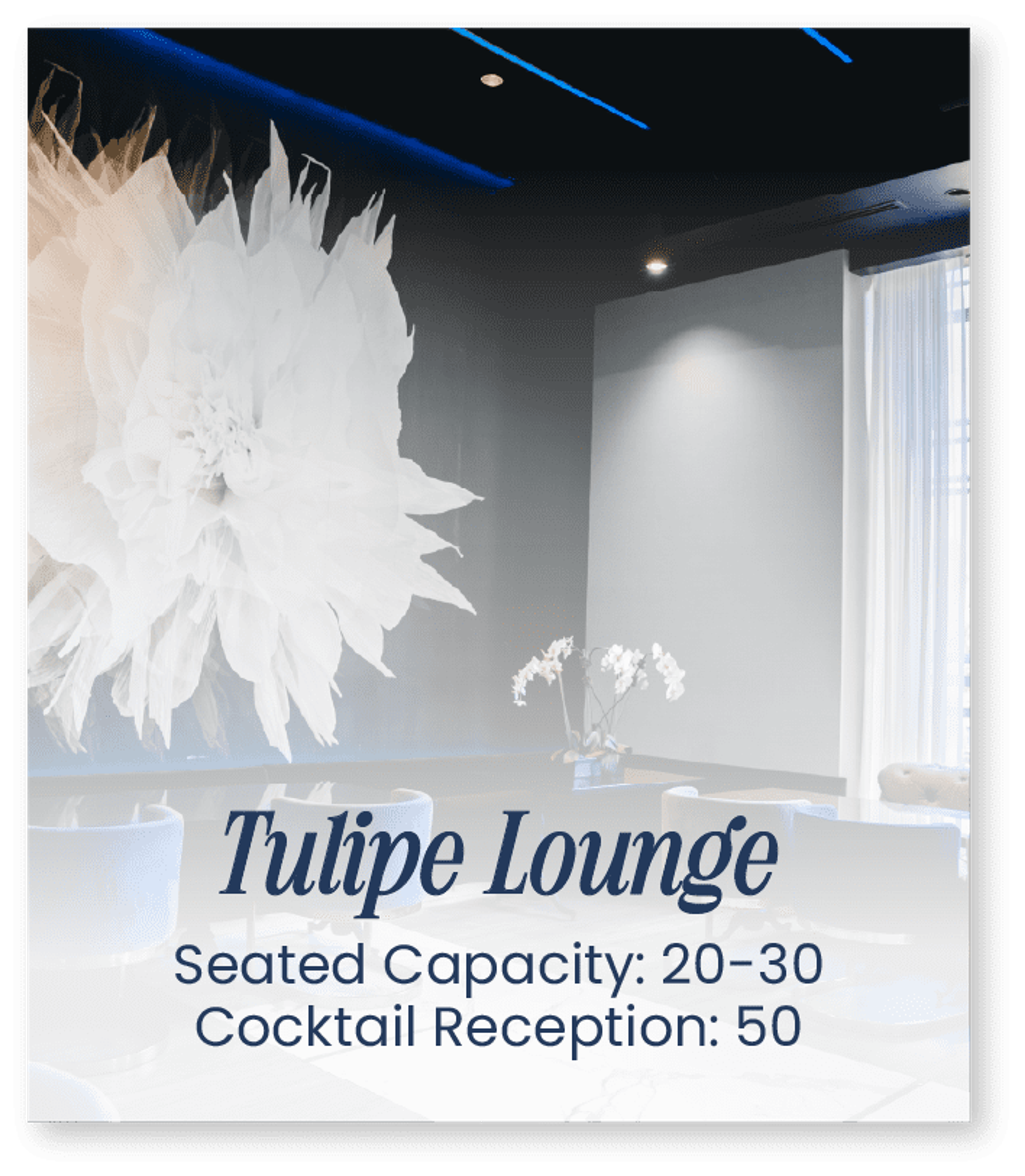 Tulipe Room, an event space at 51fifteen