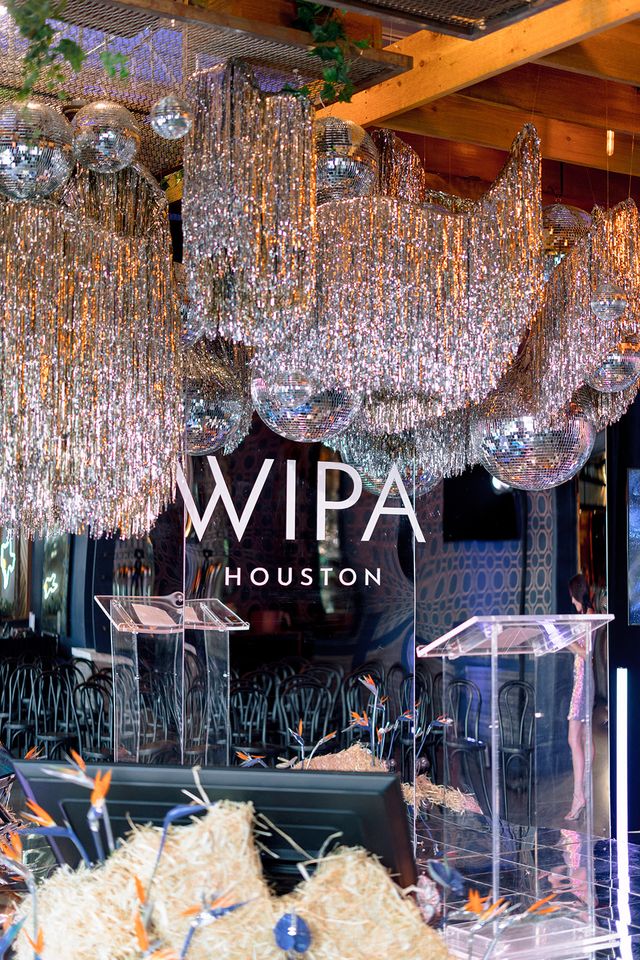 Featured photo from Moonlight Mirage - WIPA Houston