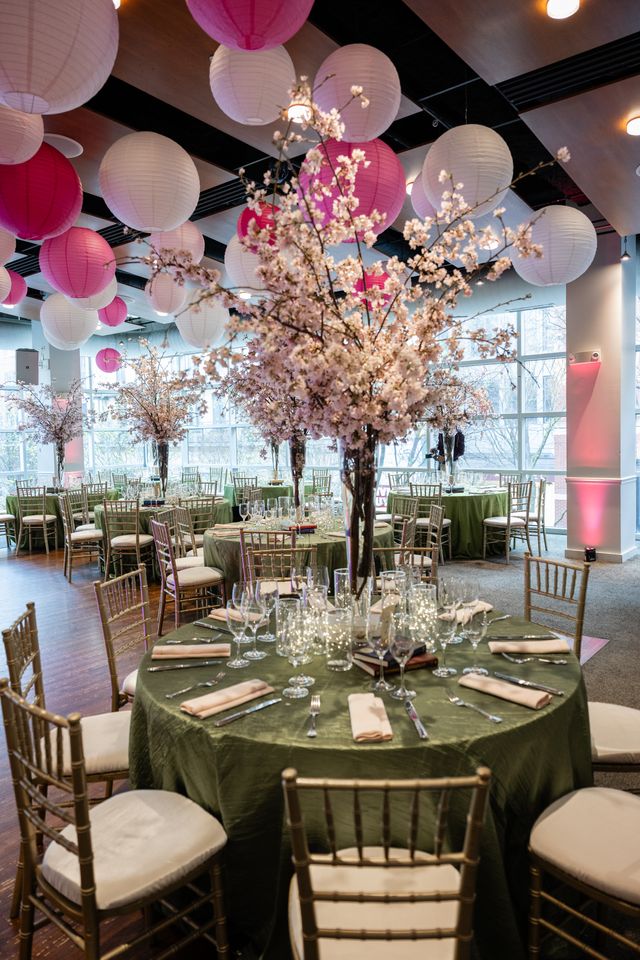 Featured photo from A Book Lover's Paradise Surrounded by Cherry Blossoms at Naomi's Bat Mitzvah at VisArts in Rockville, MD