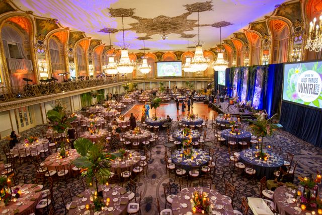 Featured photo from Explore this Nature-Inspired Gala at The Hilton Chicago with Canopy Installations and Jewel-Tone Atmosphere