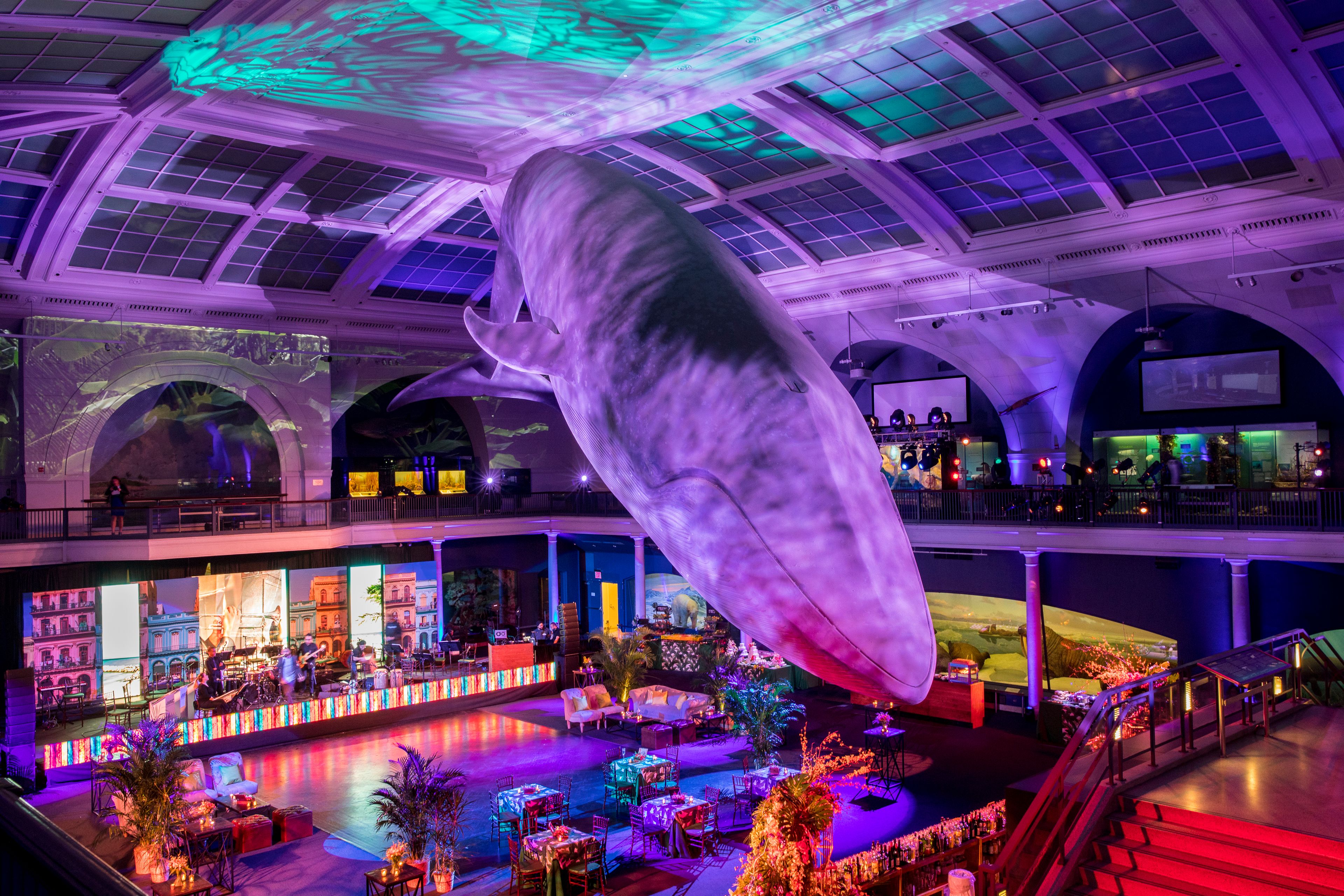 Milstein Hall of Ocean Life, an event space at American Museum Of Natural History