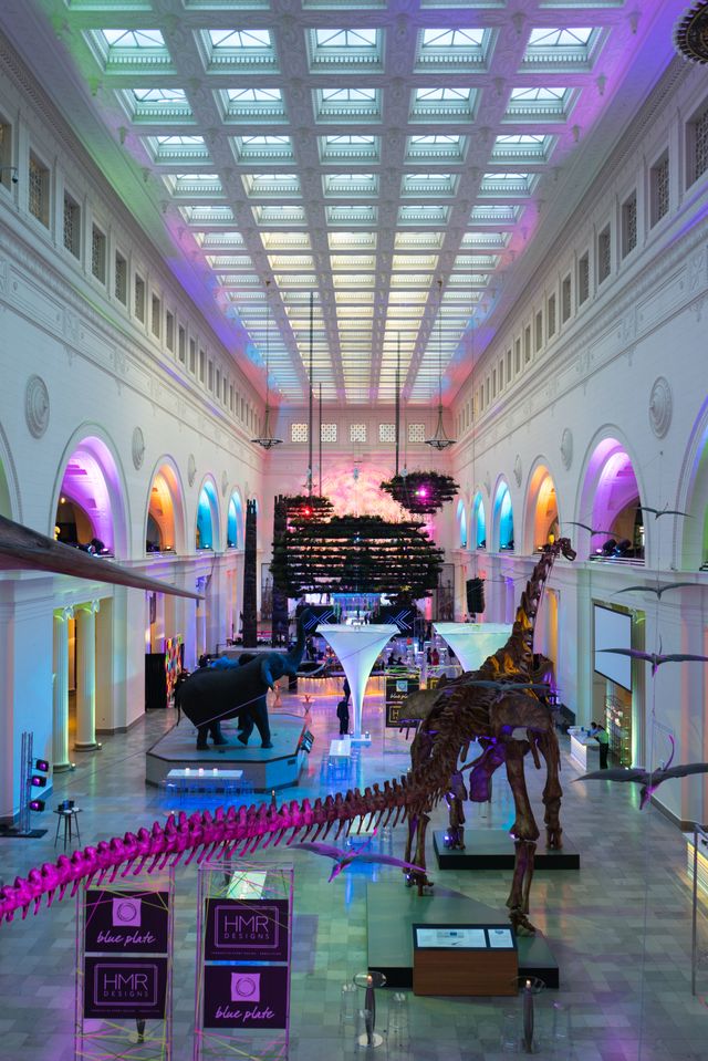 Featured photo from 2018 Chicago BizBash Awards at the Field Museum in Chicago, IL