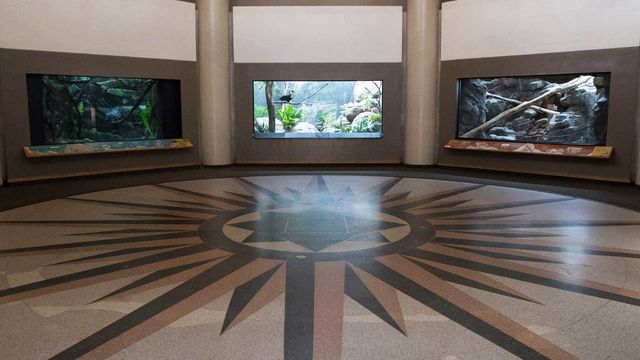 Featured photo from Rotunda