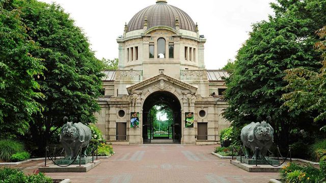 Featured photo from Zoo Center