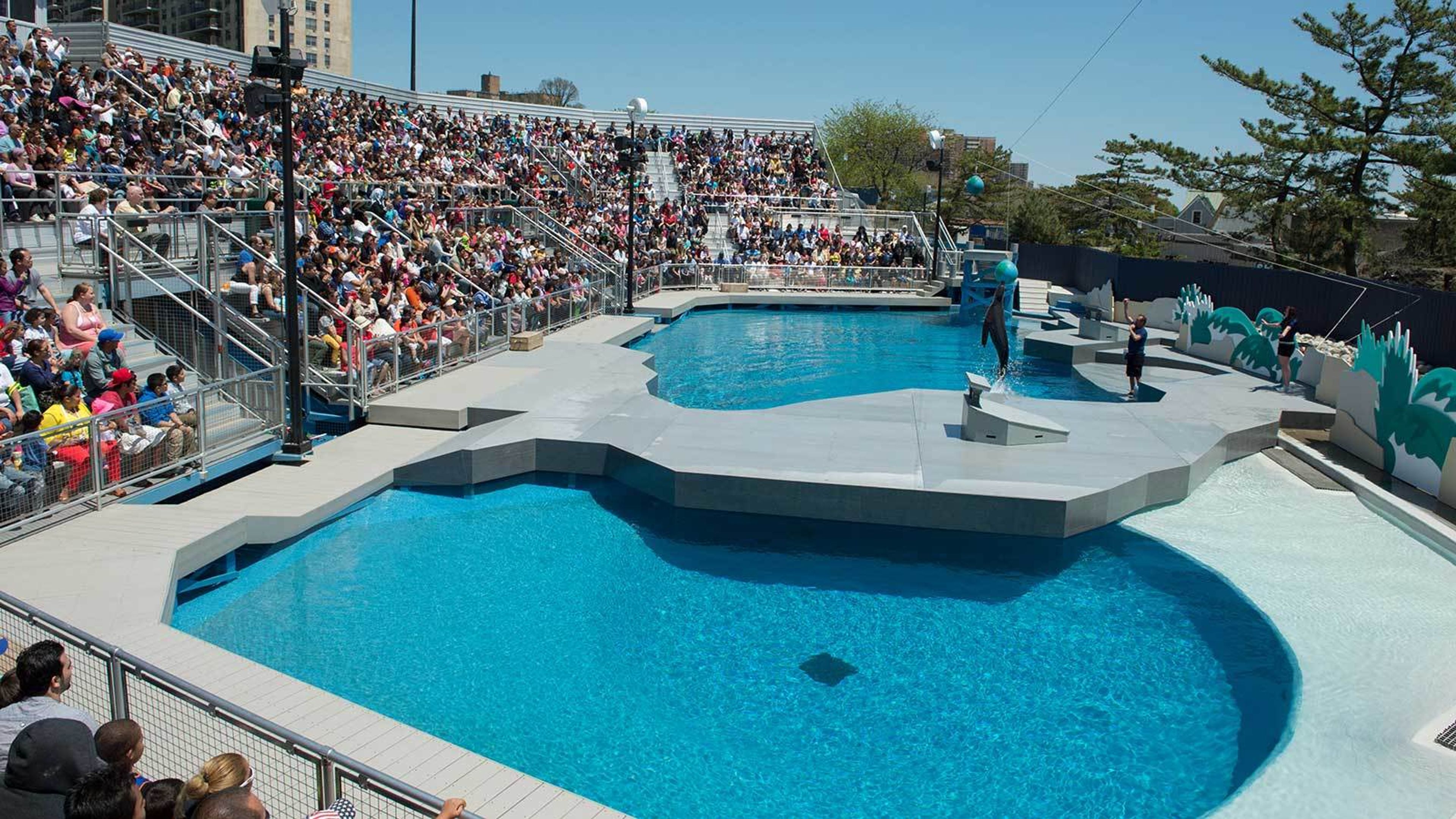 Aquatheater, an event space at New York Aquarium