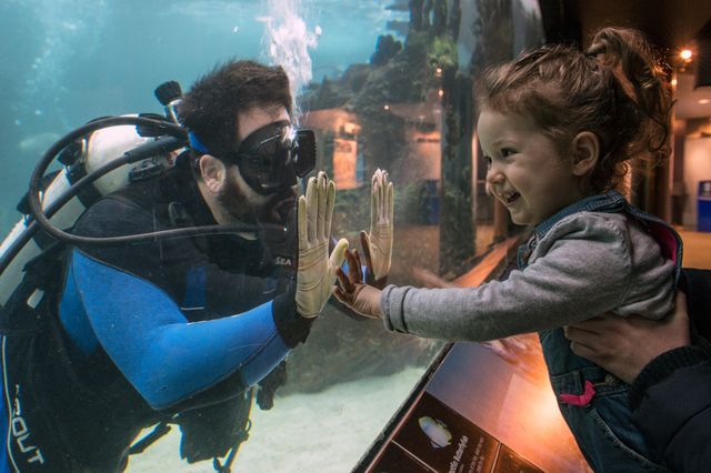 Featured photo from Conservation Hall