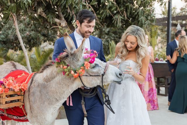 Featured photo from CHELSEA & ROB