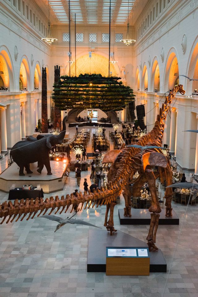 Featured photo from Angela & Vidur's Field Museum Wedding