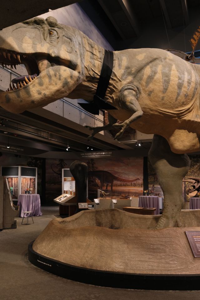 Featured photo from Wedding with the Dinosaurs