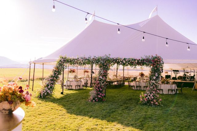 Featured photo from Reception Field