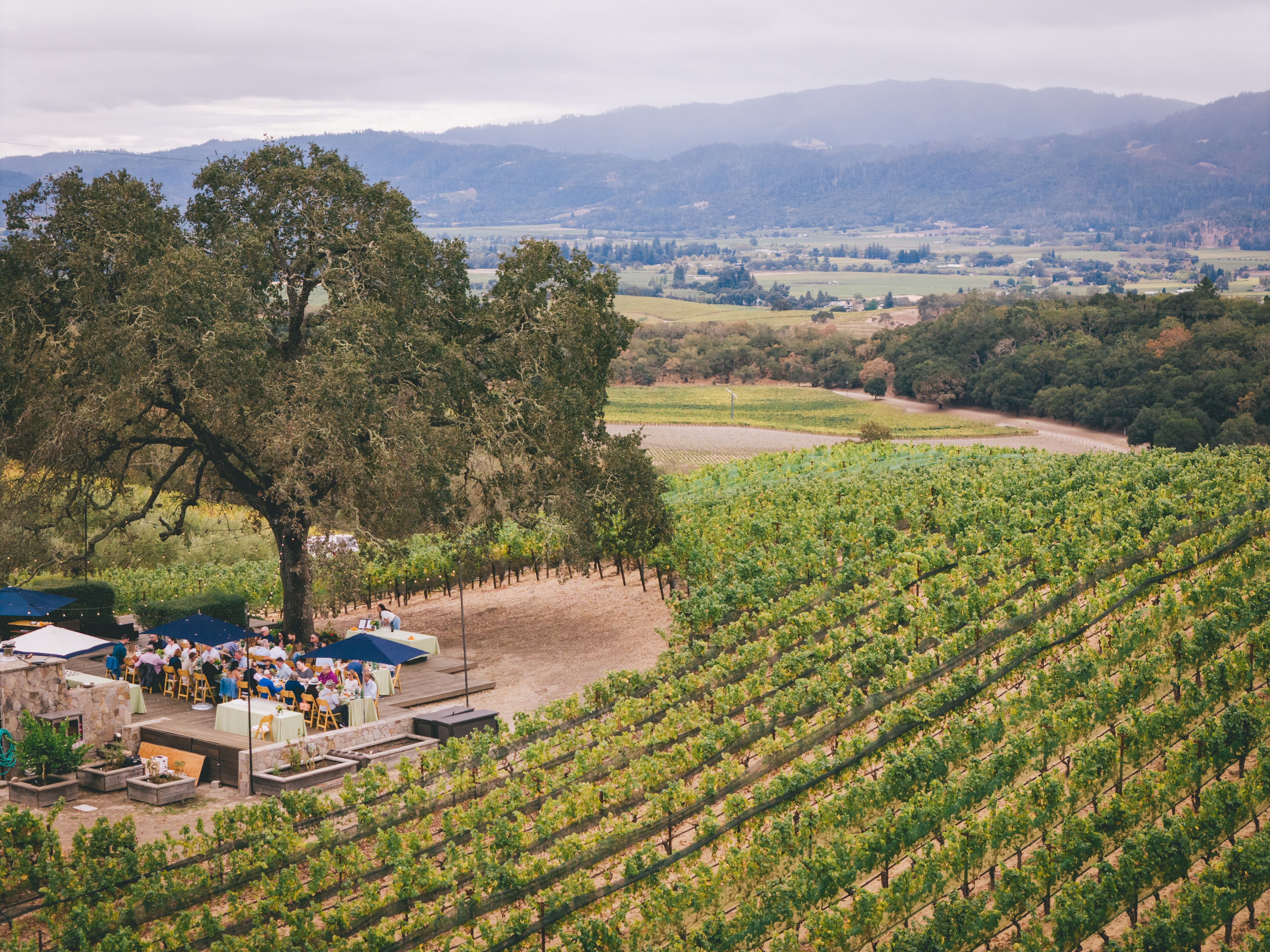 Profile Estate Vineyard, an event space at Merryvale Vineyards