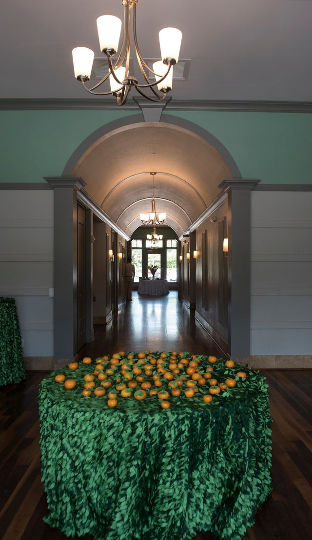 Featured photo from Maddie & Desi