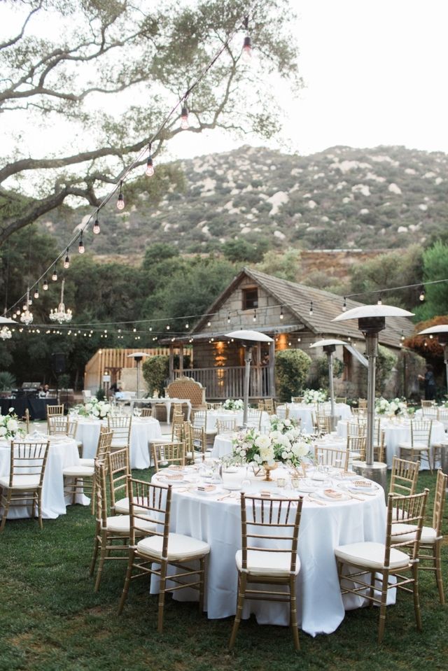 Featured photo from Glamorous White & Gold Garden Inspired Wedding