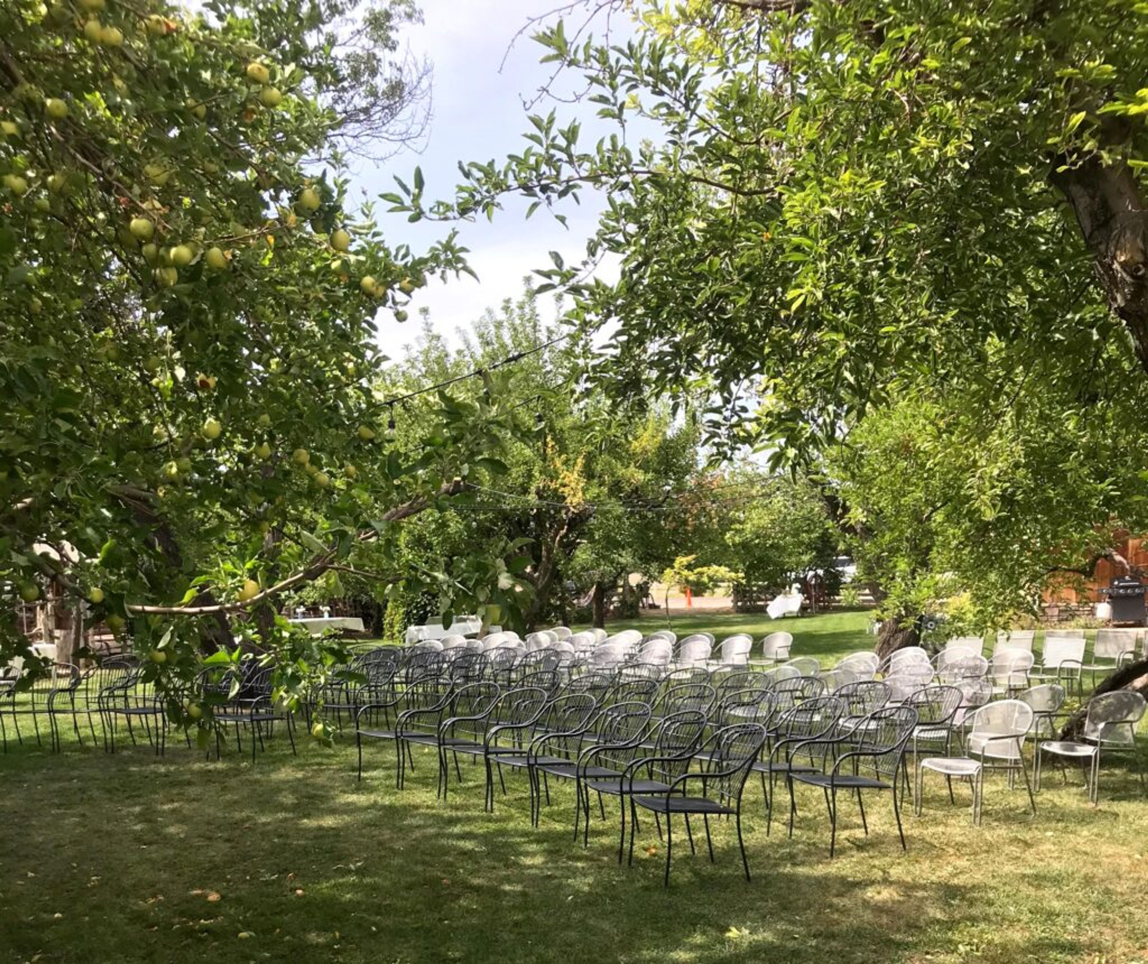 Outdoor Patio & Orchard, an event space at Wild West Retreat