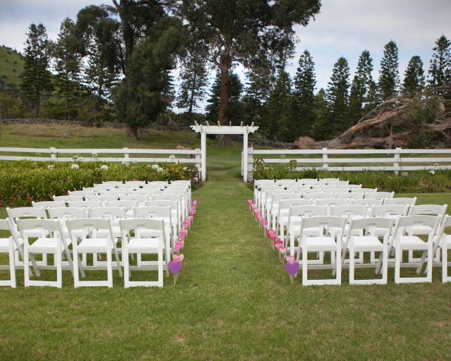 Featured photo from Anna's Front Lawn