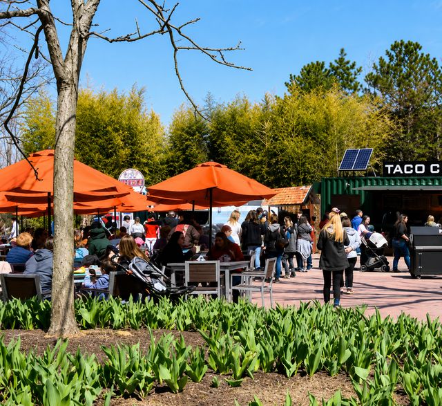 Featured photo from The Grove