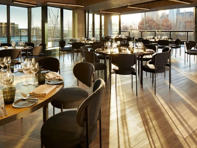 Featured photo from Blue Wood Aster