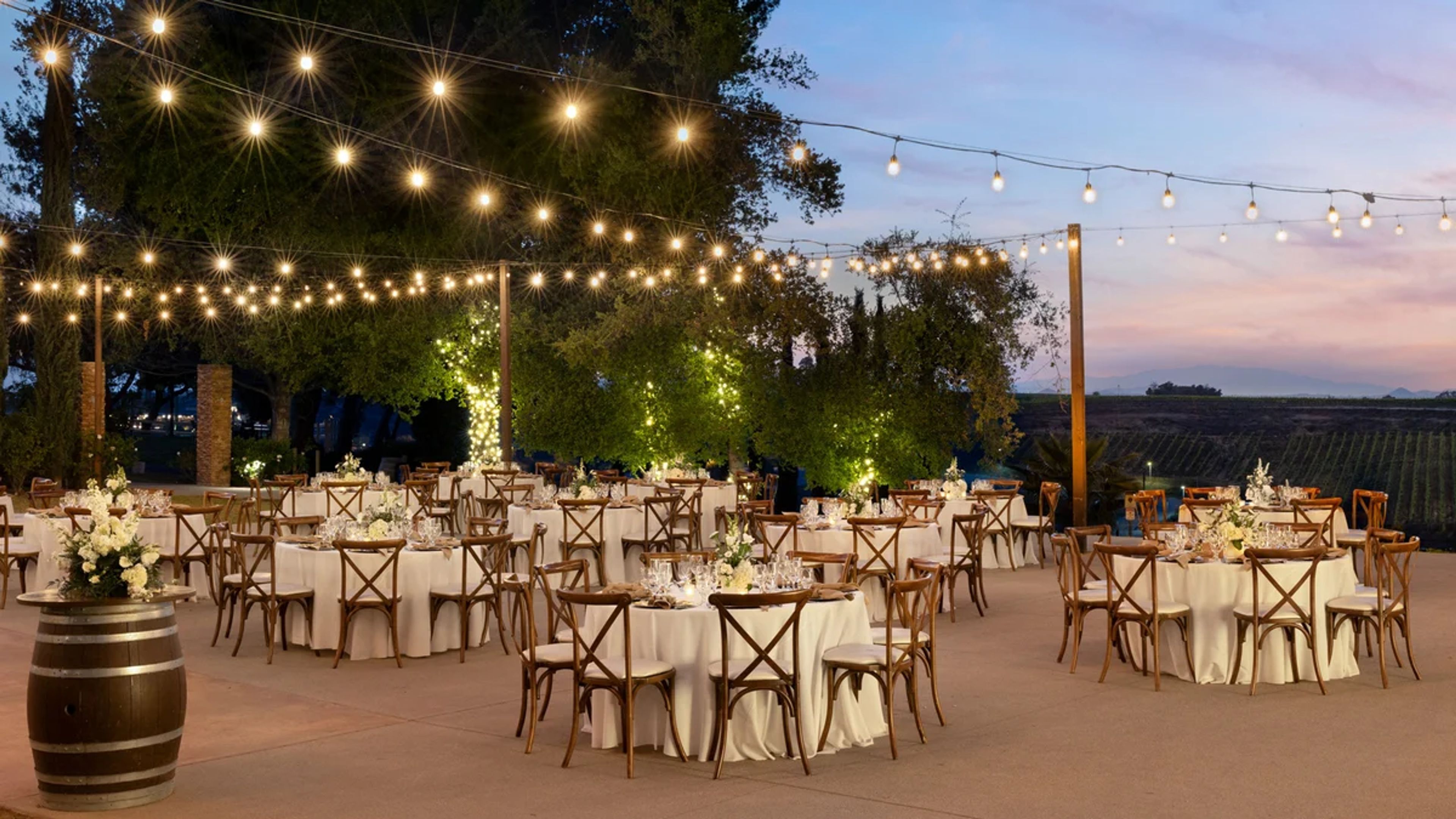 Reception Lawn, an event space at Bel Vino Winery by Wedgewood Weddings