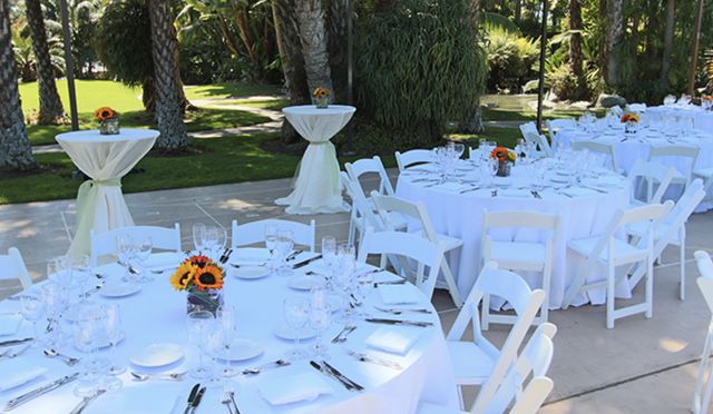 Featured photo from The Pond