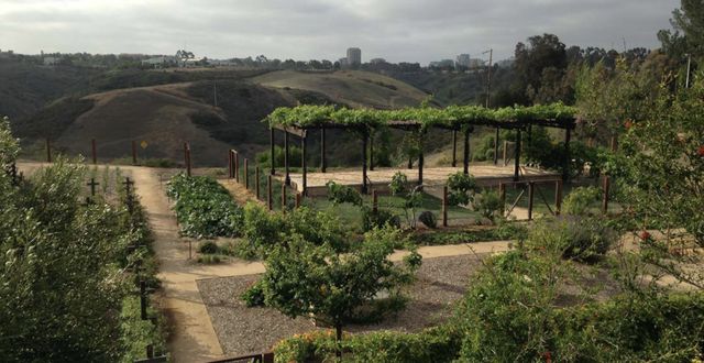 Featured photo from Organic Garden