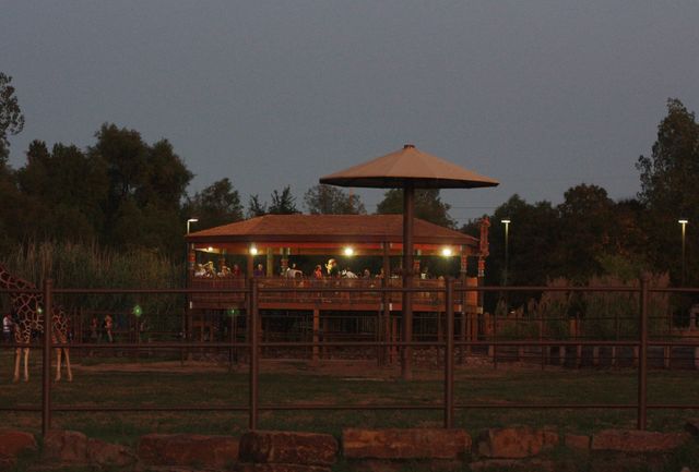 Featured photo from Mary K Chapman Giraffe Deck