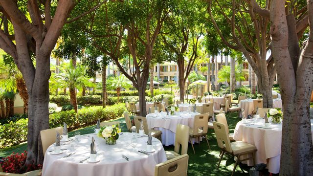 Featured photo from The Grove