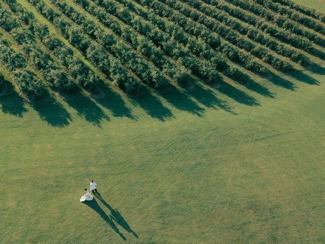 Featured photo from The Blueberry Field