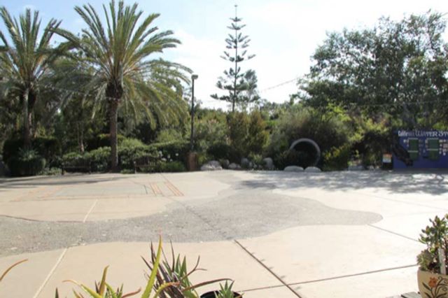 Featured photo from Plaza