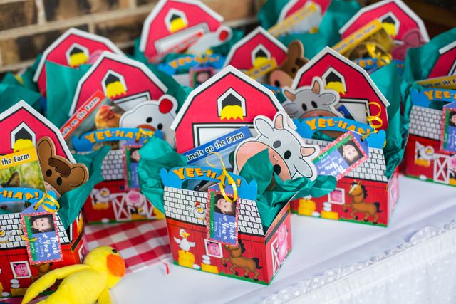 Featured photo from Farm Birthday Party