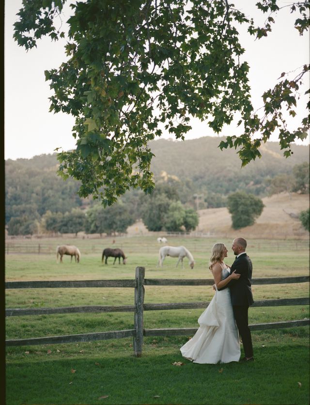 Featured photo from Cole + Christine's Magical Day Beneath the Trees