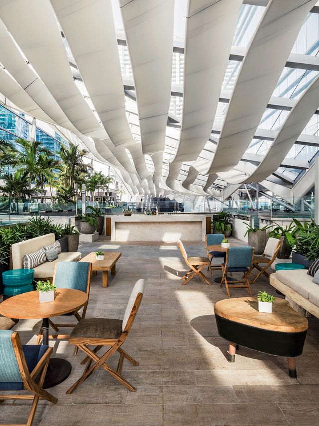 Featured photo from The Shrubbery