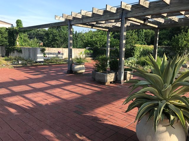 Featured photo from A.E. Finley Rooftop Garden