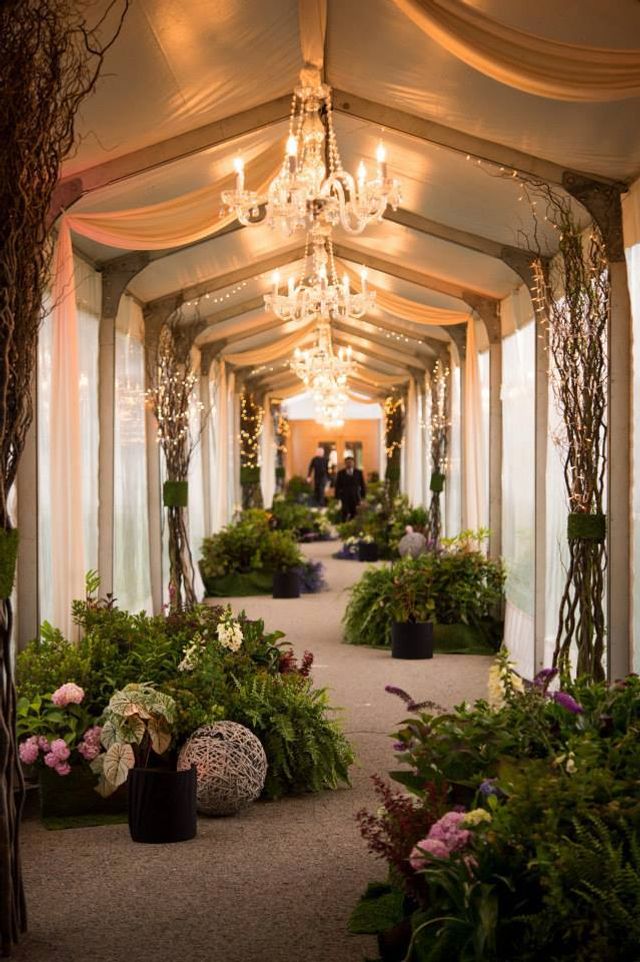 Featured photo from Summer City Wedding