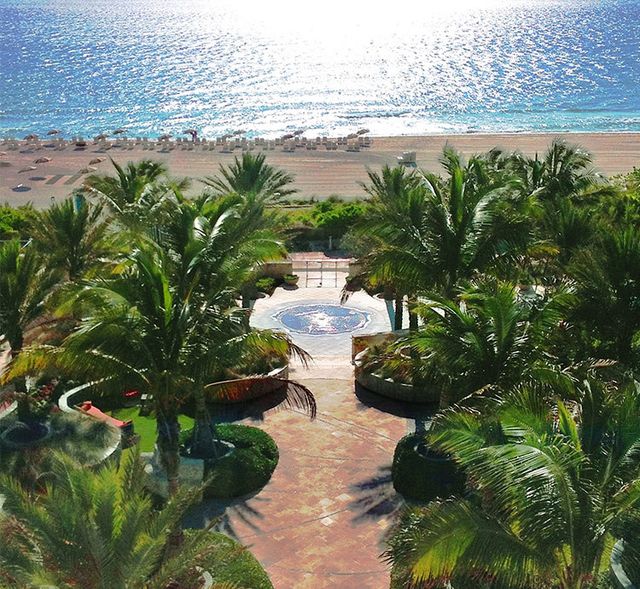 Featured photo from Palm Court