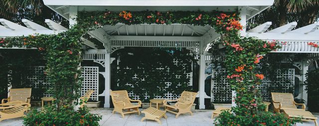 Featured photo from Trellis