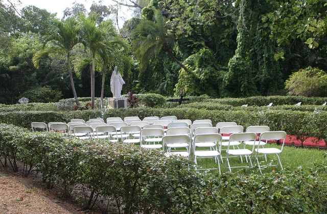 Featured photo from Saviour Garden