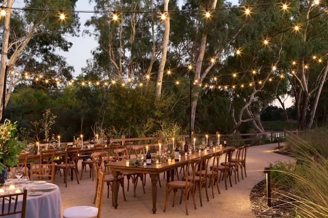 Featured photo from River Walk Clearing