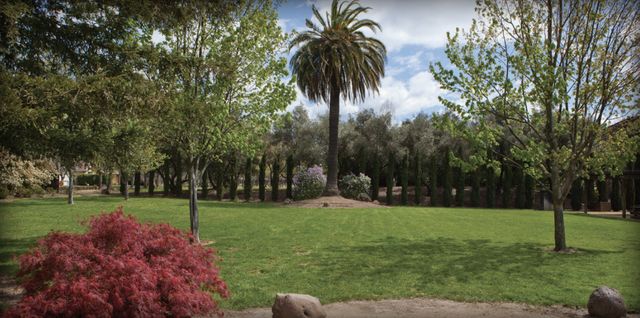 Featured photo from Arbor Park