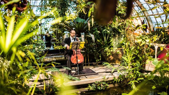 Featured photo from The Conservatory Galleries