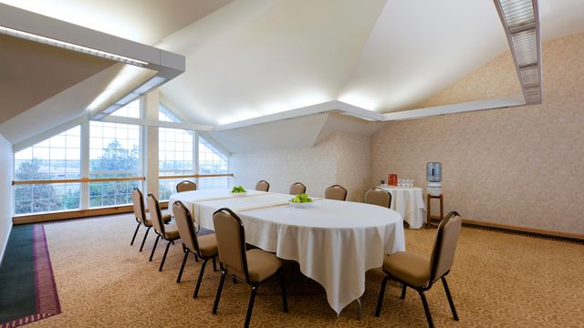 Featured photo from Norther Harrier