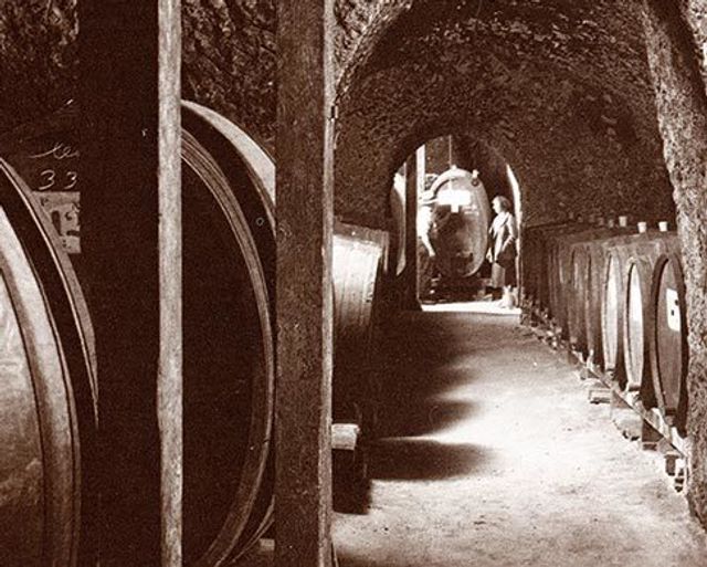 Featured photo from Wine Caves