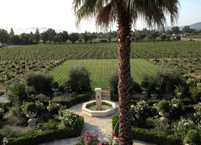 Featured photo from Vittorio's Vineyard Lawn