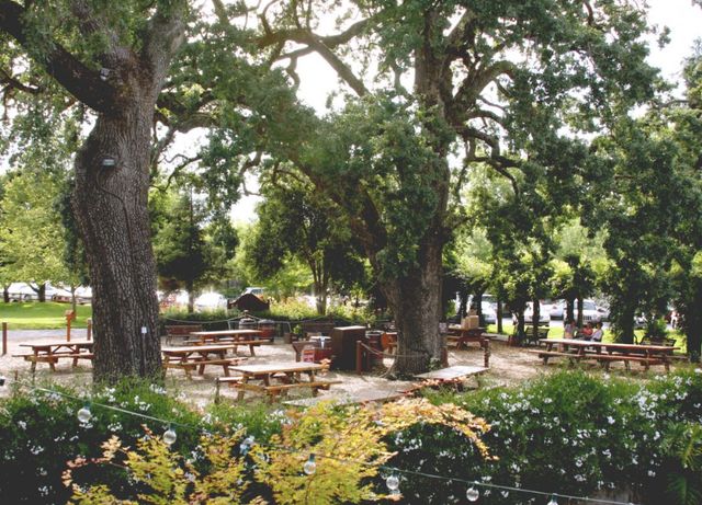 Featured photo from Oak Tree Picnic Area